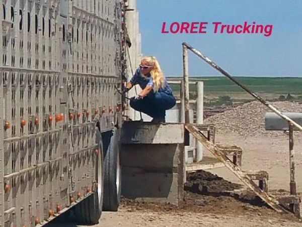 Jessica tying the rope on her cattle trailer.