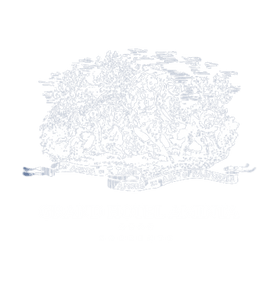 Grand Hotel Aminta - Shuttle Bus Service