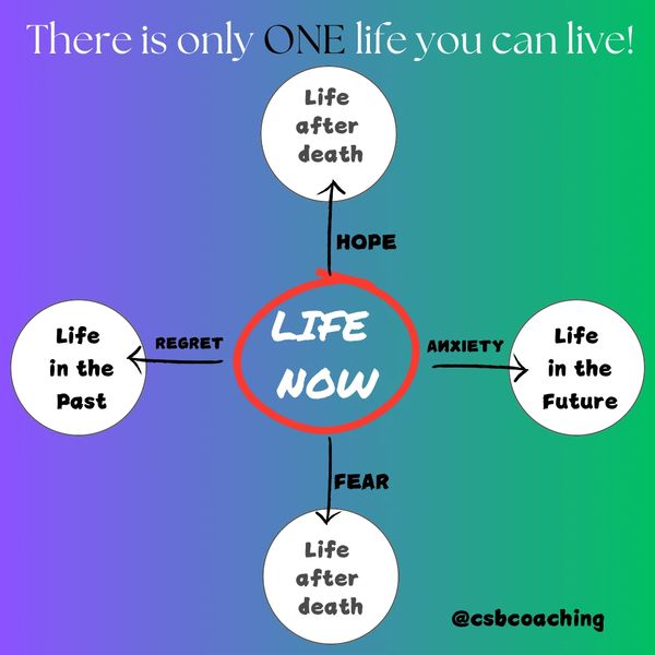 One life you can live