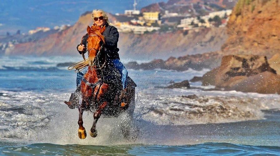 Meet Marty Harriman, the owner and operator of Baja by Horse.