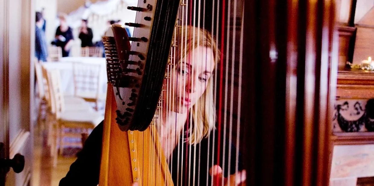 Professional Harpist for Special Events | Mindy Cutcher