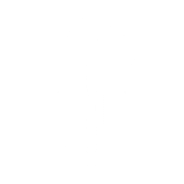 Intricate symmetrical white ornamental design on black background.