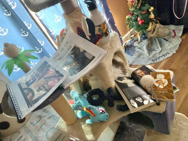 ANAK KO Annie’s/Pet Journals