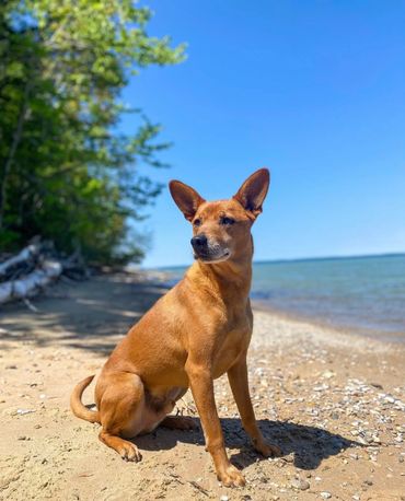Mr.Tsali enjoying the beach days!
