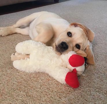 Little man loves his toys