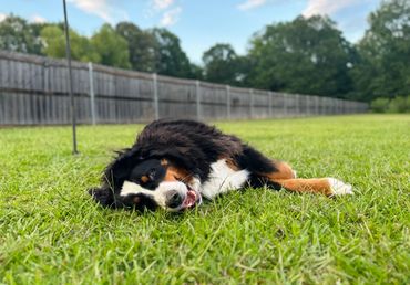 After a full day of fun its time to relax!