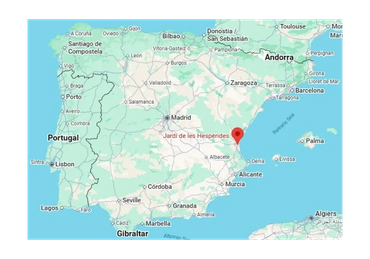 El Toro begins his grand adventure, traveling with John G. all the way across the ocean to the beaut