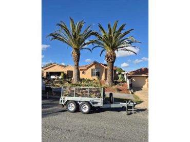 2 trimmed palm trees in Wanneroo.