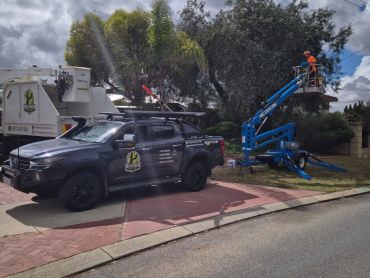 Hi Ab job trimming trees in Wanneroo.