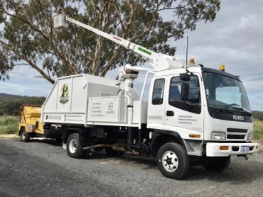 Tree trimming in Joondalup & Wanneroo