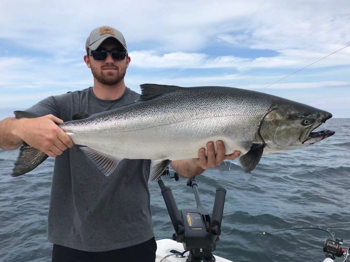 Chinook Salmon caught on a Jammer Sportfishing Charter.  Rochester, NY.