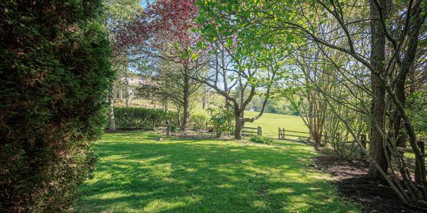 The garden at Stines House Twin Willows