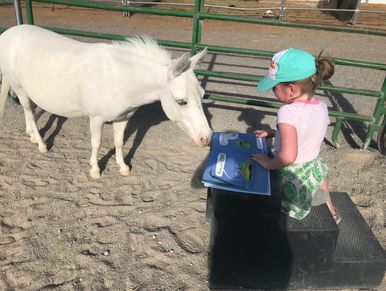 #TeachingKidsWithHorses, #ReadingWithHorses, #TutoringWithHorses, #EquinesAndEducation