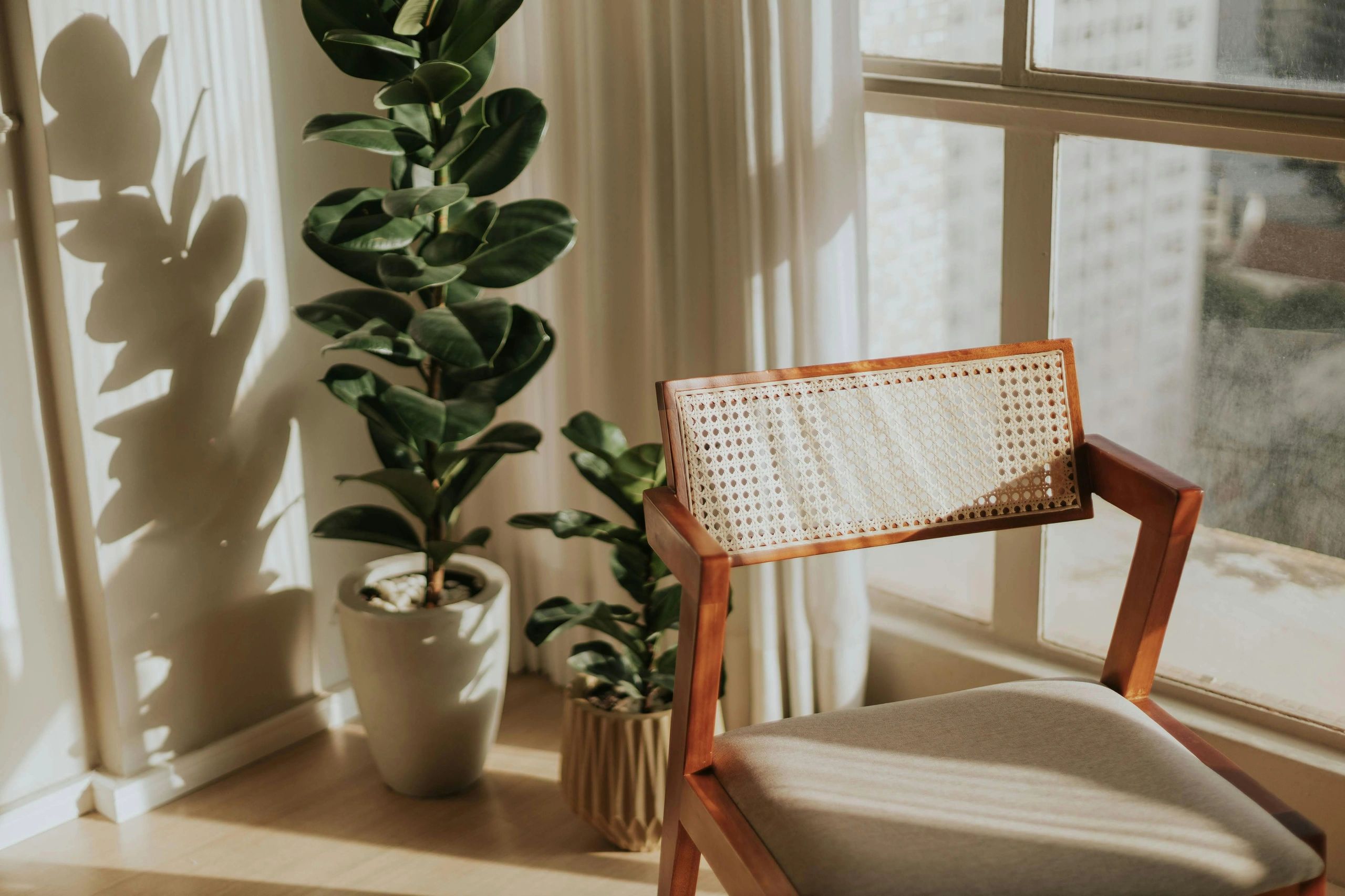 Sunlit indoor corner with a wooden chair and potted plants casting shadows.