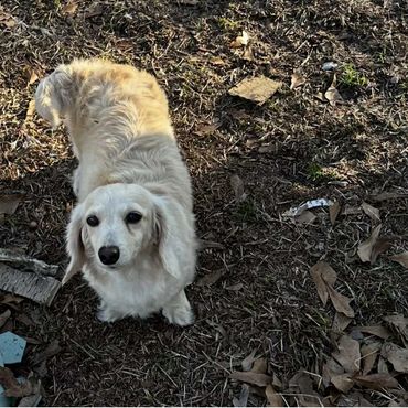 She is a long hair cream