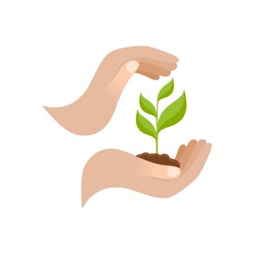 Planta sobre una mano. Política de sostenibilidad