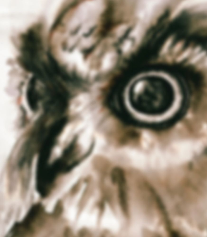 un gros plan du dessin d'un hibou de profil