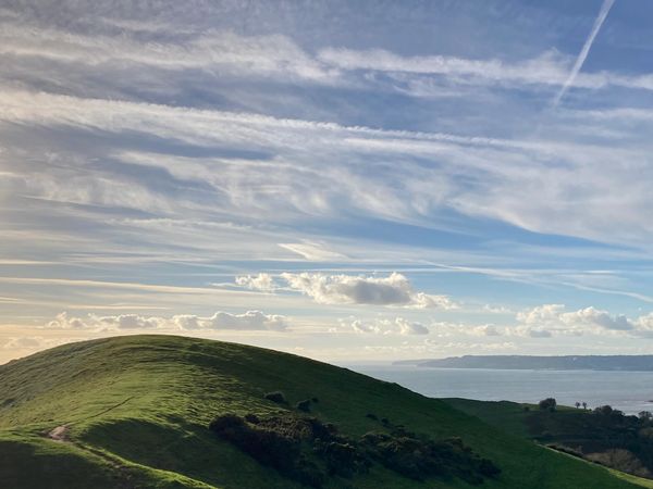 Foraging on the Jurassic Coast - Seatown