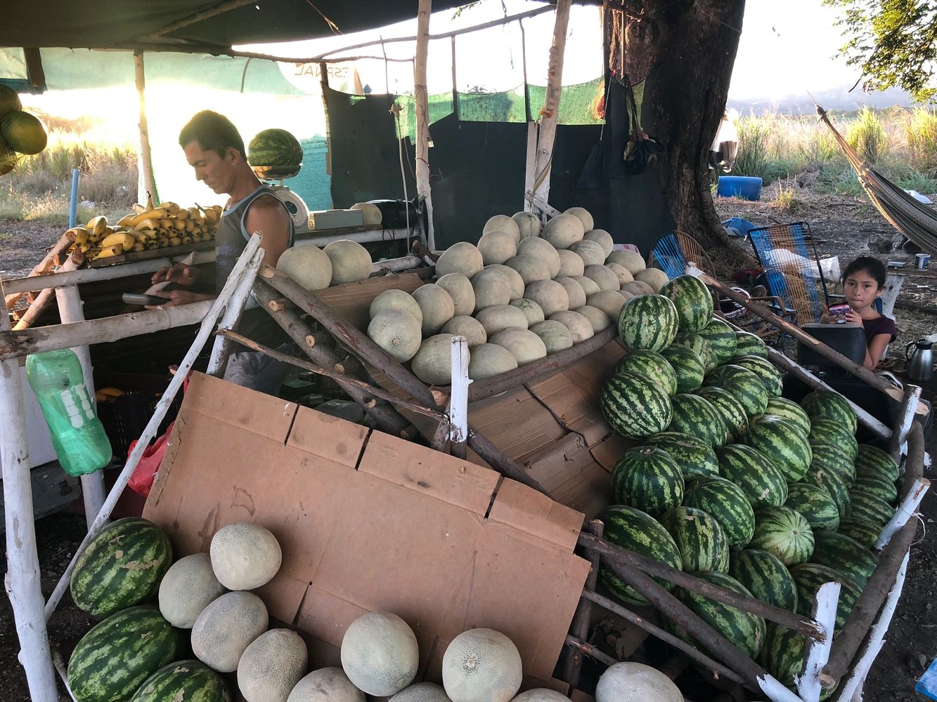 Costa Rica roadside fresh produce market