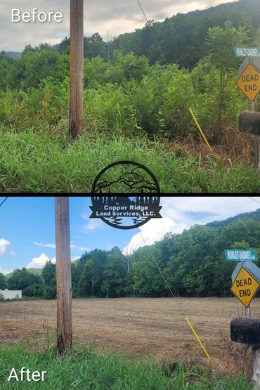 Forestry mulching knoxville, tn