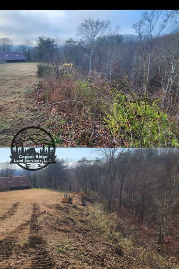 Forestry mulching knoxville, tn