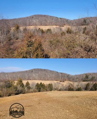 Forestry mulching knoxville, tn