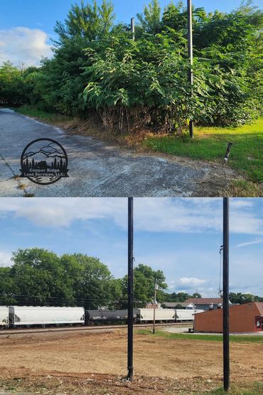 Forestry mulching in Clinton, TN