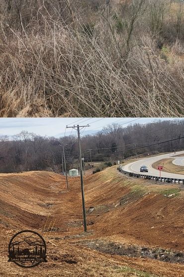 Forestry mulching knoxville, tn