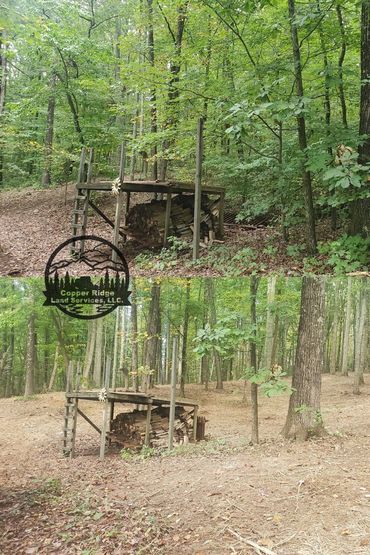 Forestry mulching knoxville, tn