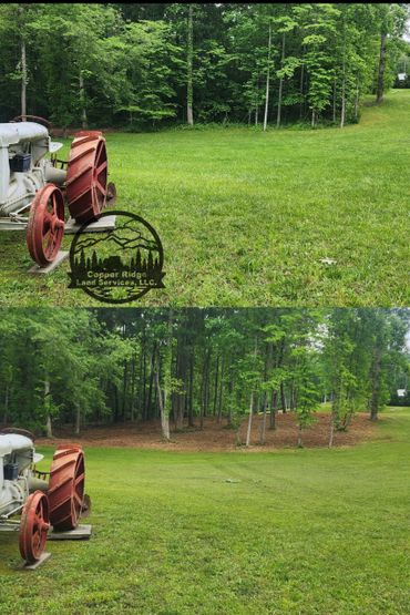 Forestry mulching knoxville, tn