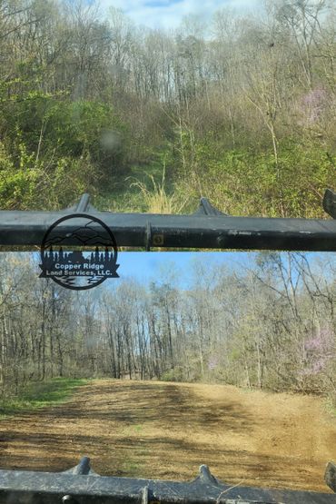 Forestry mulching knoxville, tn