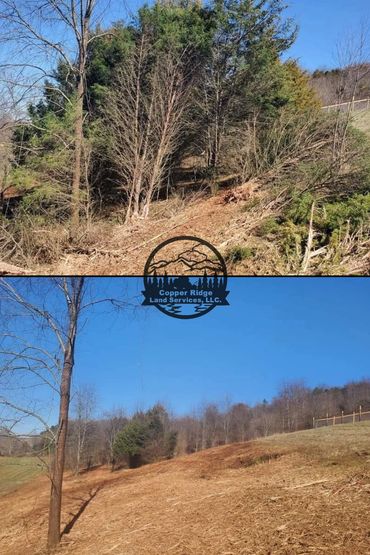 Forestry mulching knoxville, tn