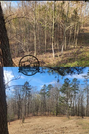 Forestry mulching knoxville, tn