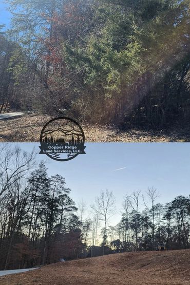 Forestry mulching knoxville, tn