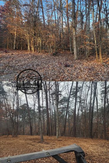 Forestry mulching knoxville, tn