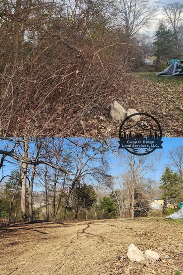 Forestry mulching knoxville, tn