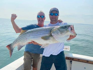 48 pound striped bass