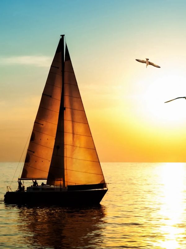 A sailboat at sunset with birds flying in the background. 