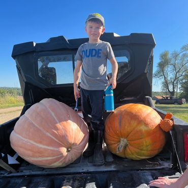 A boy stands in a truck bed with two giant pumpkins on a sunny day.