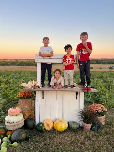 Four children posing on a white wooden stand surrounded by pumpkins and flowers at sunset.