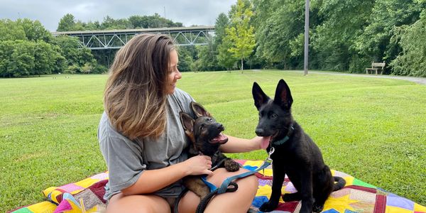 Woman in Kentucky park with pups.