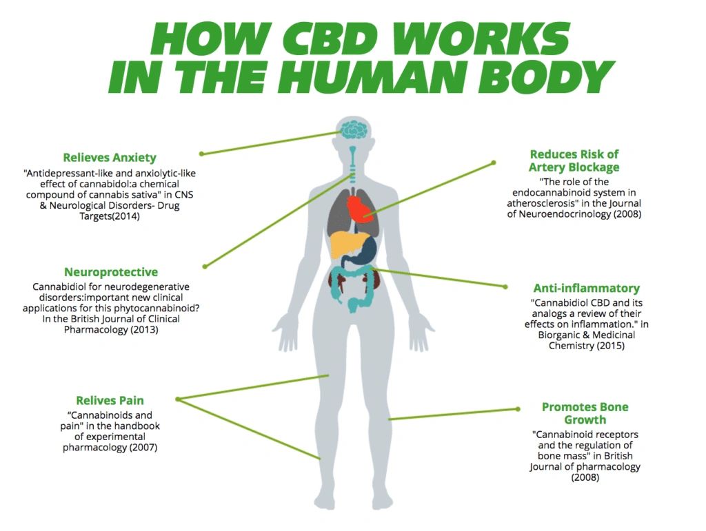 Come in and check out our great selection of CBD products.  Ask for FREE Sample