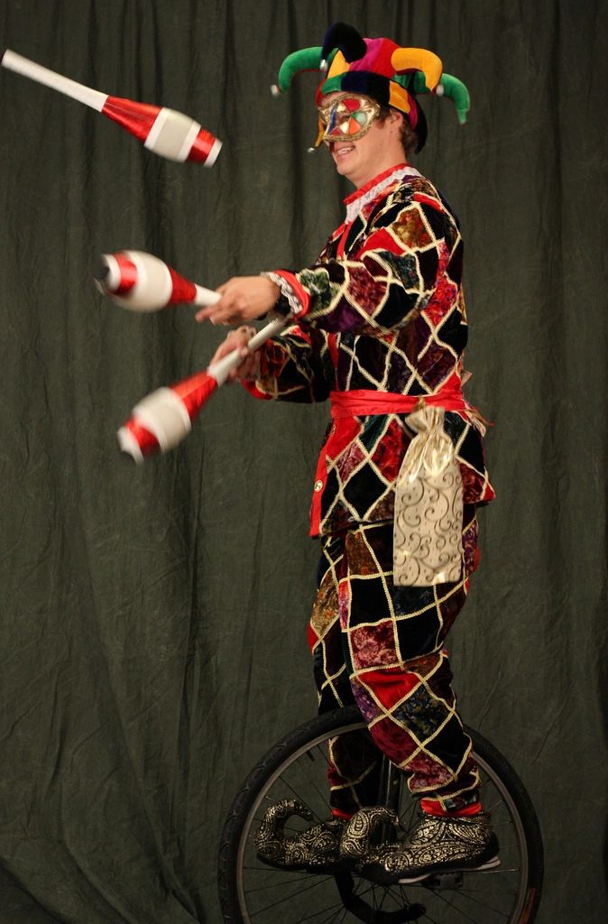 Venetian Jester costume
