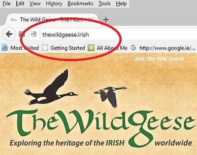 A screenshot from TheWildGeese.irish homepage highlighting its URL.
