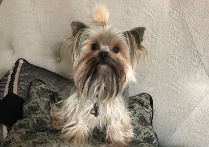 Loki says "Top of the morning to you." She just woke up.