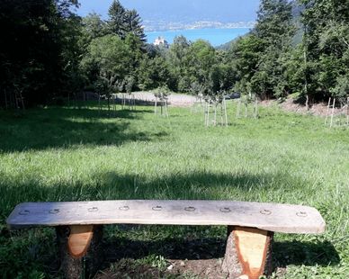 wooden park bench in field