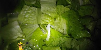 I consigli dello Chef da Lacuocabirichina.com Insalata Prendersene Cura.