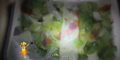 I Consigli Dello Chef da Lacuocabirichina.com Insalata prendersene Cura