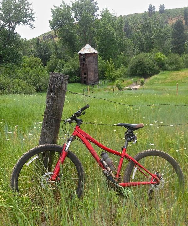 Biking on trail, trees, biking near me, trails near me, idaho