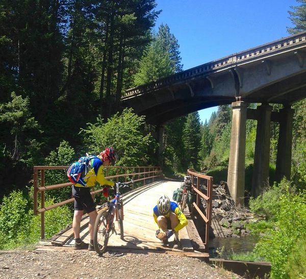 Biking on trail, trees, biking near me, trails near me, idaho, bridges